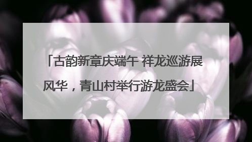 古韵新章庆端午 祥龙巡游展风华，青山村举行游龙盛会