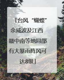 台风“蝴蝶”余威波及江西 赣中南等地局部有大暴雨阵风可达8级
