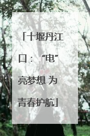 十堰丹江口：“电”亮梦想 为青春护航
