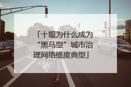 十堰为什么成为“黑马型”城市治理网络维度典型