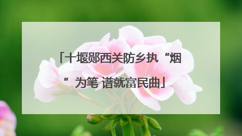 十堰郧西关防乡执“烟”为笔 谱就富民曲