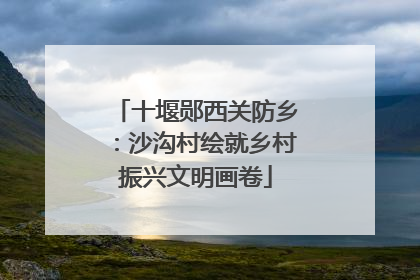 十堰郧西关防乡：沙沟村绘就乡村振兴文明画卷