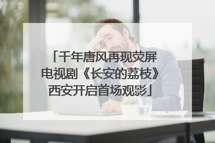 千年唐风再现荧屏 电视剧《长安的荔枝》西安开启首场观影