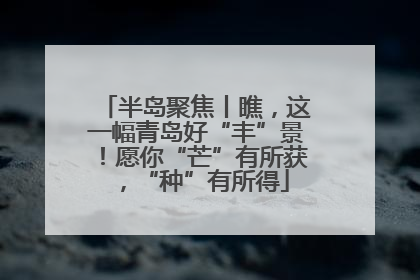 半岛聚焦丨瞧，这一幅青岛好“丰”景！愿你“芒”有所获，“种”有所得