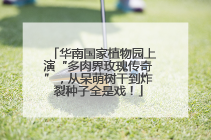 华南国家植物园上演“多肉界玫瑰传奇”，从呆萌树干到炸裂种子全是戏！