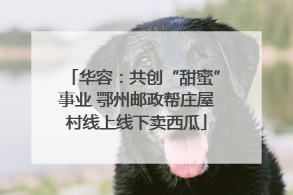华容：共创“甜蜜”事业 鄂州邮政帮庄屋村线上线下卖西瓜