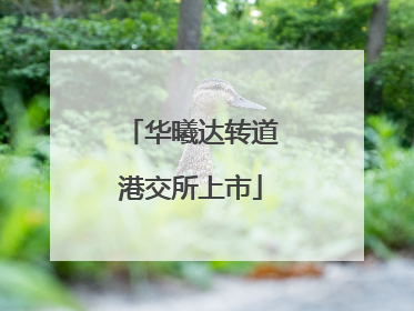 华曦达转道港交所上市