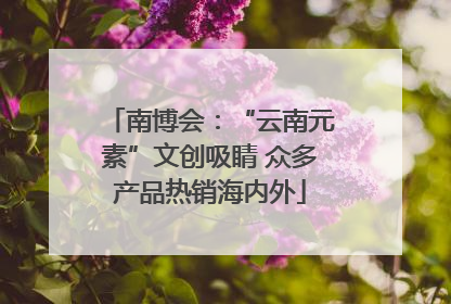 南博会：“云南元素”文创吸睛 众多产品热销海内外