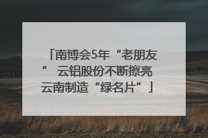 南博会5年“老朋友” 云铝股份不断擦亮云南制造“绿名片”