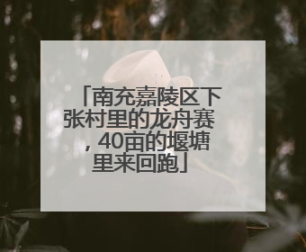 南充嘉陵区下张村里的龙舟赛，40亩的堰塘里来回跑