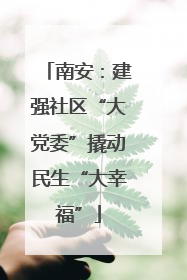 南安：建强社区“大党委”撬动民生“大幸福”