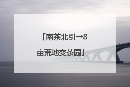 南茶北引→8亩荒地变茶园