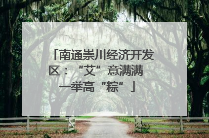 南通崇川经济开发区：“艾”意满满 一举高“粽”