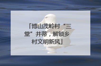 博山茂岭村“三堂”并蒂，解锁乡村文明新风
