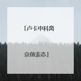 卢卡申科离京前表态