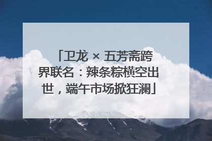卫龙 × 五芳斋跨界联名：辣条粽横空出世，端午市场掀狂澜