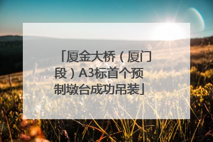 厦金大桥（厦门段）A3标首个预制墩台成功吊装