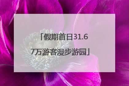 假期首日31.67万游客漫步游园