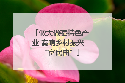 做大做强特色产业 奏响乡村振兴“富民曲”