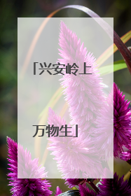 兴安岭上万物生