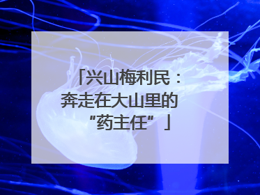 兴山梅利民：奔走在大山里的“药主任”