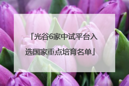 光谷6家中试平台入选国家重点培育名单