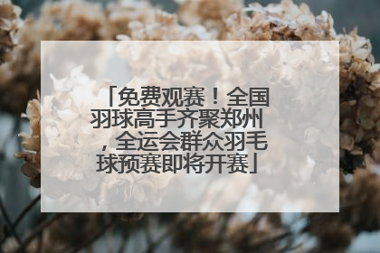免费观赛！全国羽球高手齐聚郑州，全运会群众羽毛球预赛即将开赛