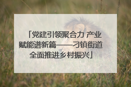 党建引领聚合力 产业赋能谱新篇——刁镇街道全面推进乡村振兴