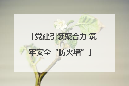 党建引领聚合力 筑牢安全“防火墙”