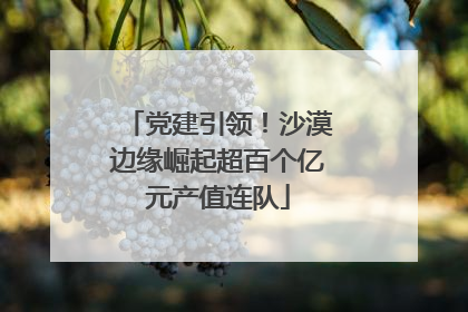 党建引领！沙漠边缘崛起超百个亿元产值连队