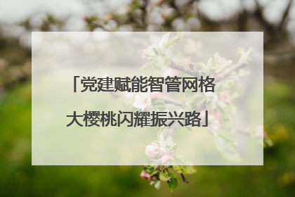 党建赋能智管网格 大樱桃闪耀振兴路