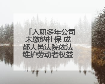入职多年公司未缴纳社保 成都大邑法院依法维护劳动者权益这样判