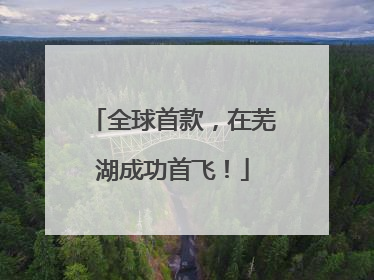 全球首款，在芜湖成功首飞！