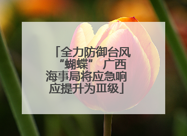 全力防御台风“蝴蝶” 广西海事局将应急响应提升为Ⅲ级