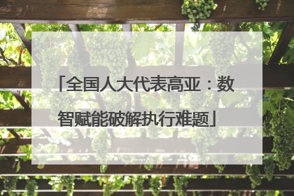全国人大代表高亚：数智赋能破解执行难题