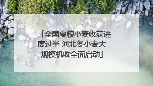 全国夏粮小麦收获进度过半 河北冬小麦大规模机收全面启动