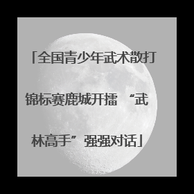 全国青少年武术散打锦标赛鹿城开擂 “武林高手”强强对话