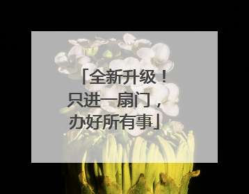 全新升级！只进一扇门，办好所有事