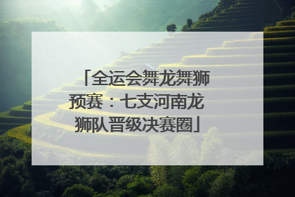 全运会舞龙舞狮预赛：七支河南龙狮队晋级决赛圈