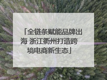 全链条赋能品牌出海 浙江衢州打造跨境电商新生态
