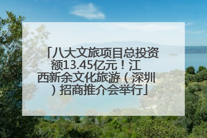 八大文旅项目总投资额13.45亿元！江西新余文化旅游（深圳）招商推介会举行