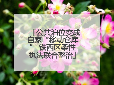 公共泊位变成自家“移动仓库” 铁西区柔性执法联合整治