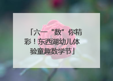 六一“数”你精彩！东西湖幼儿体验童趣数学节