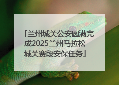 兰州城关公安圆满完成2025兰州马拉松城关赛段安保任务