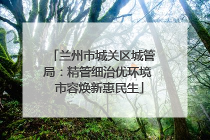 兰州市城关区城管局：精管细治优环境 市容焕新惠民生