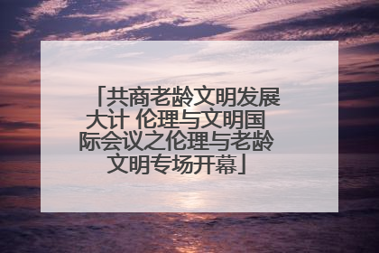 共商老龄文明发展大计 伦理与文明国际会议之伦理与老龄文明专场开幕