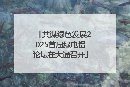 共谋绿色发展2025首届绿电铝论坛在大通召开