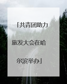 共青团助力旅发大会在哈尔滨举办