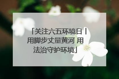 关注六五环境日丨用脚步丈量黄河 用法治守护环境