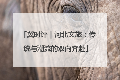 冀时评｜河北文旅：传统与潮流的双向奔赴